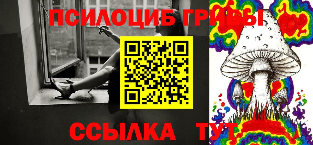 Галлюциногенные грибы GOLDEN TEACHER  Вход с VPN  Мичуринск 